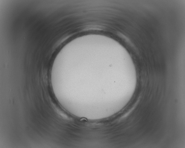 X0000081391113200702090031