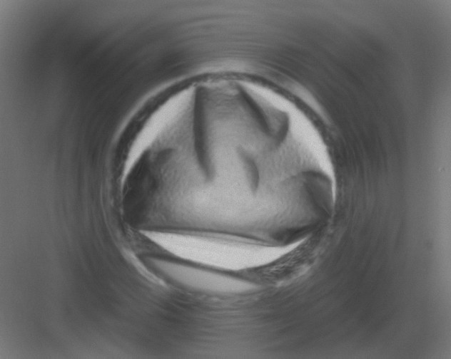 X0000081391116200702090031