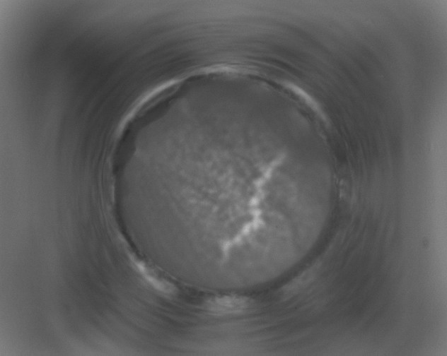 X0000081391117200702090031