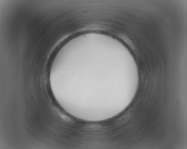 X0000081391119200702090031