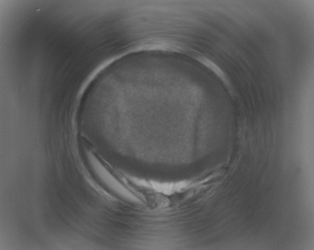 X0000081391120200702090031