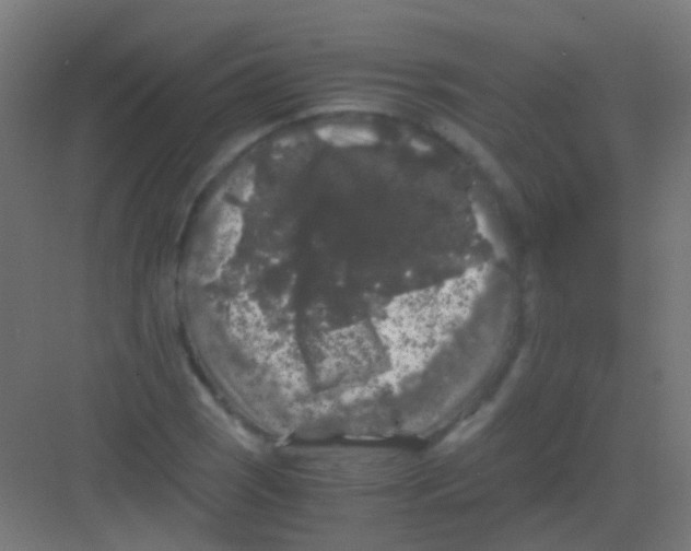 X0000081391121200702090031