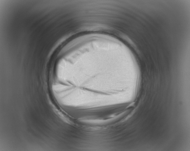 X0000081391122200702090031