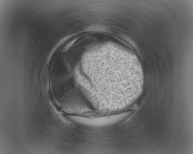 X0000081391123200702090031