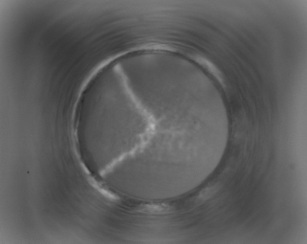 X0000081391125200702090031