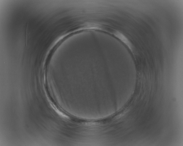 X0000081391127200702090031