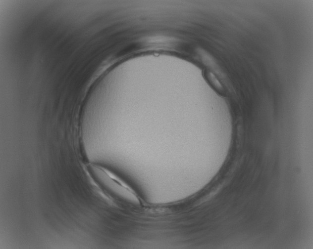 X0000081391129200702090031