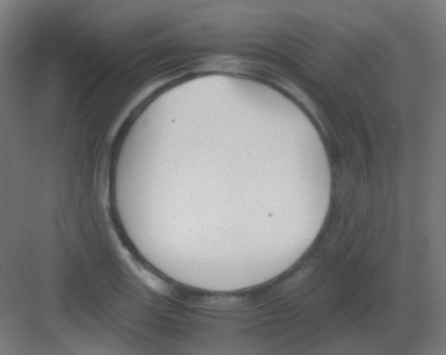 X0000081391131200702090031