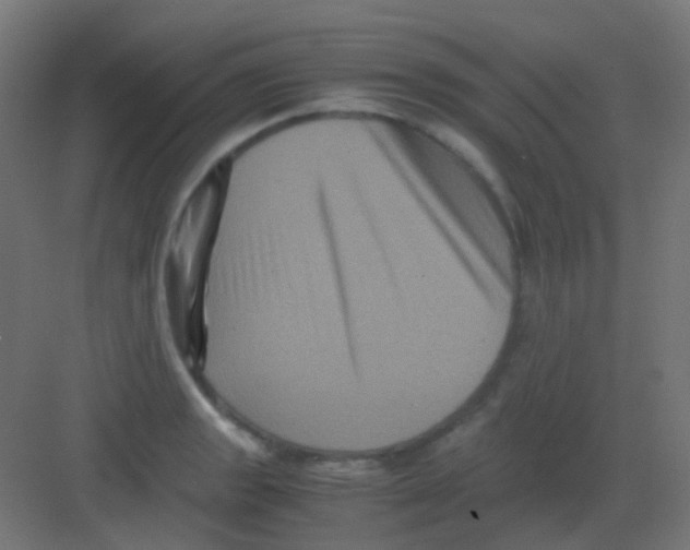 X0000081391133200702090031