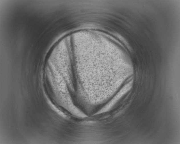 X0000081391134200702090031