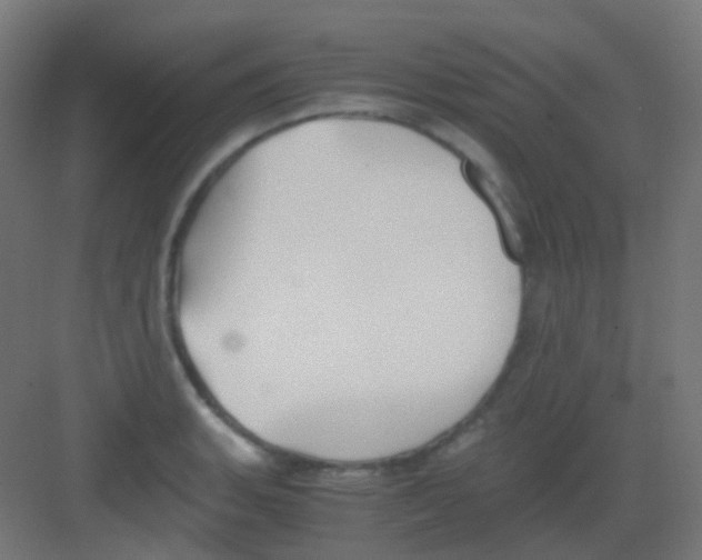 X0000081391135200702090031