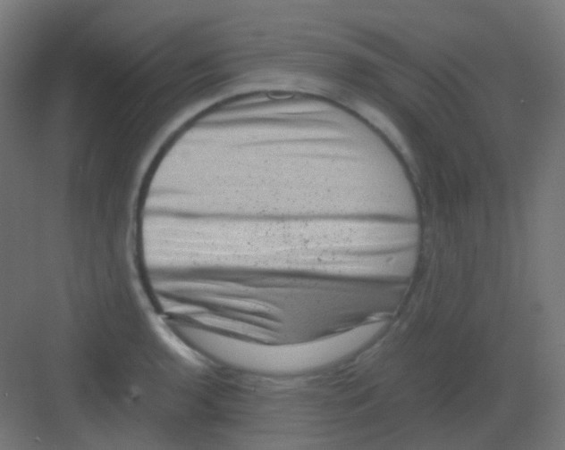 X0000081391136200702090031