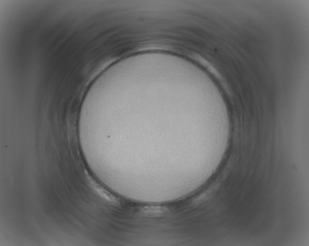 X0000081391137200702090031