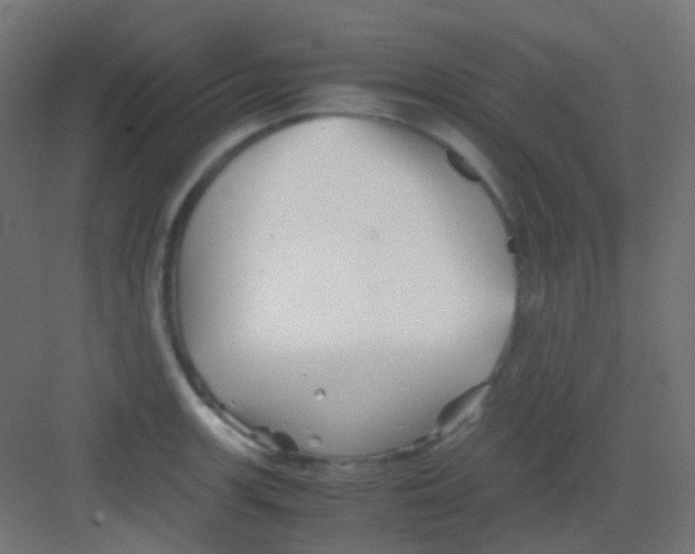 X0000081391139200702090031