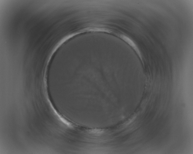 X0000081391141200702090031