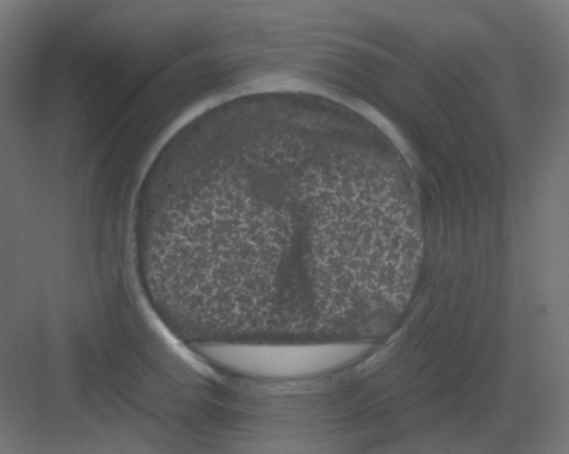 X0000081391142200702090031