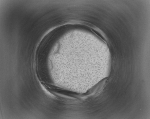 X0000081391143200702090031