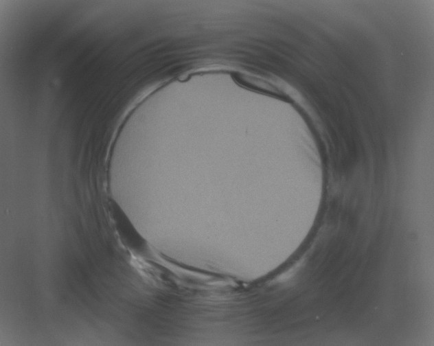 X0000081391145200702090031