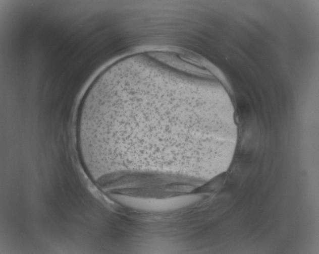 X0000081391148200702090031