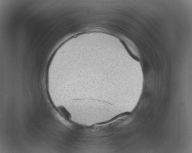 X0000081391149200702090031