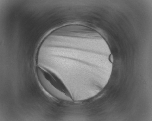 X0000081391151200702090031