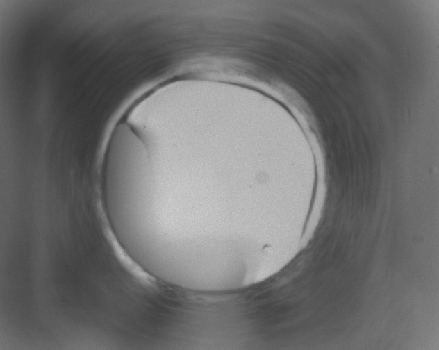 X0000081391152200702090031