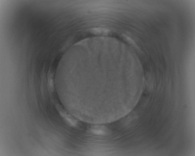 X0000081391154200702090030