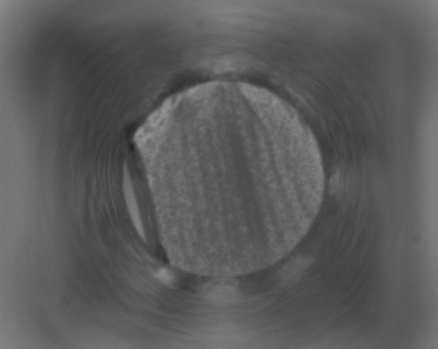 X0000081391156200702090030