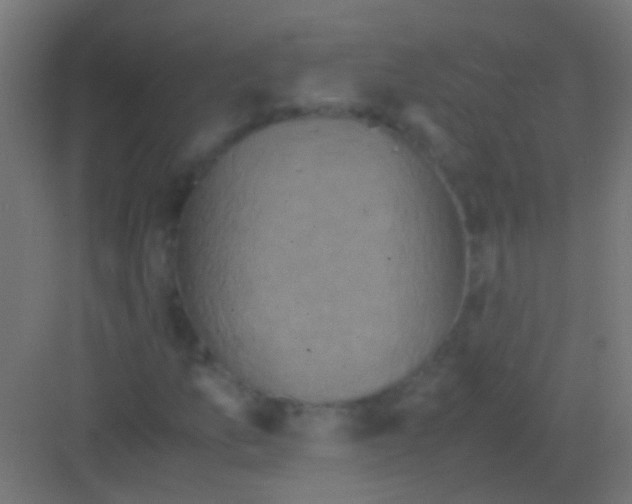 X0000081391157200702090030