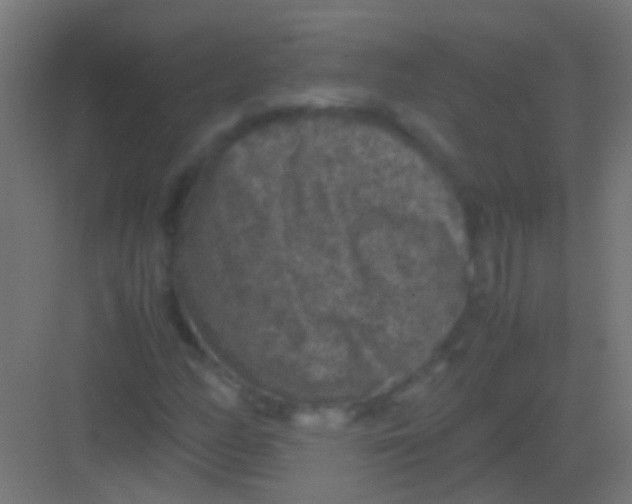 X0000081391158200702090030