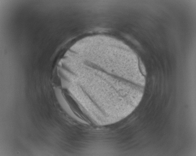 X0000081391160200702090030