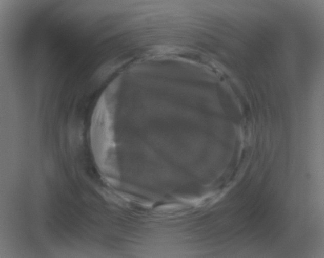 X0000081391161200702090030