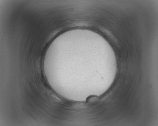 X0000081391162200702090030