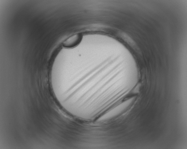 X0000081391164200702090030