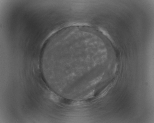 X0000081391165200702090030