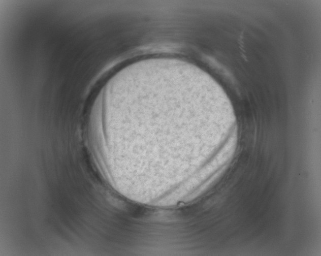 X0000081391166200702090030