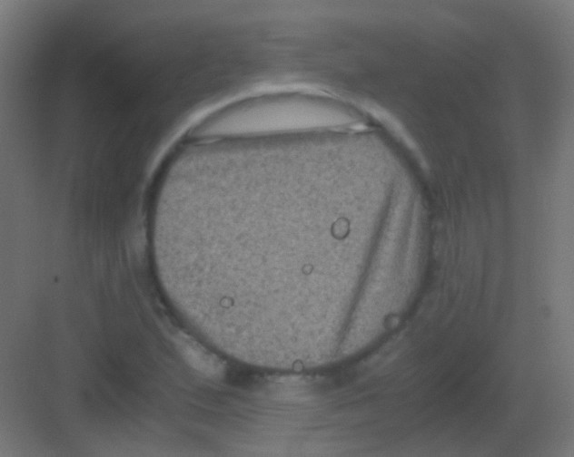 X0000081391167200702090030