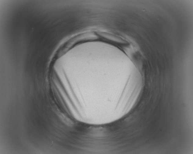 X0000081391168200702090030