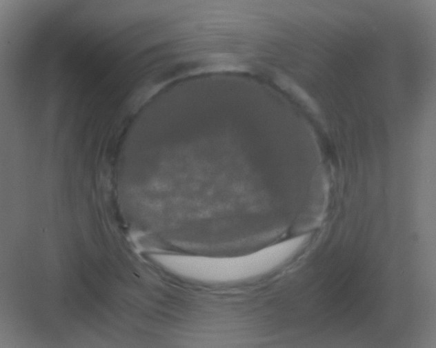 X0000081391169200702090030