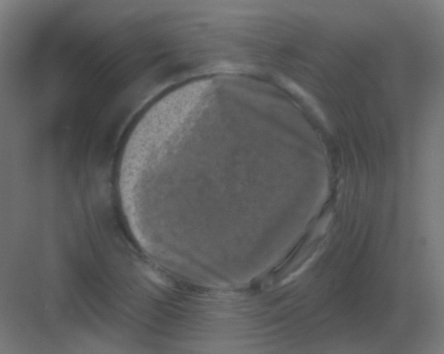 X0000081391170200702090030