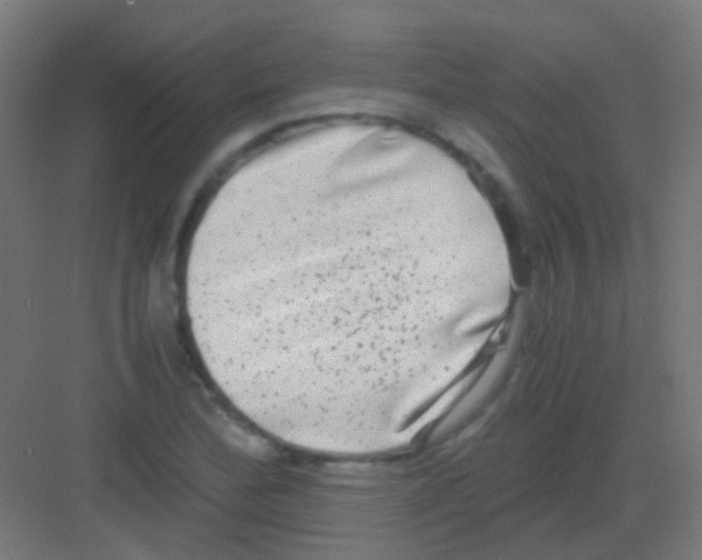 X0000081391172200702090030