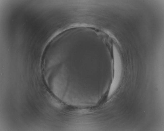 X0000081391173200702090030