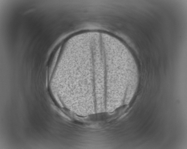 X0000081391175200702090030