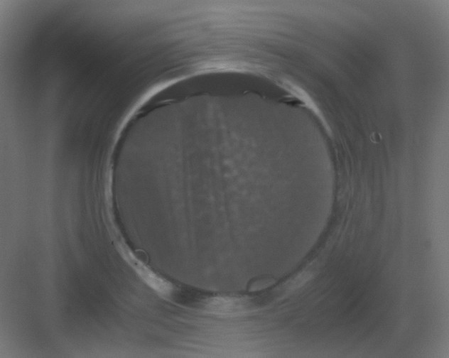 X0000081391179200702090030