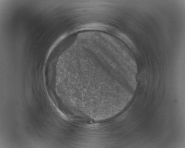 X0000081391180200702090030