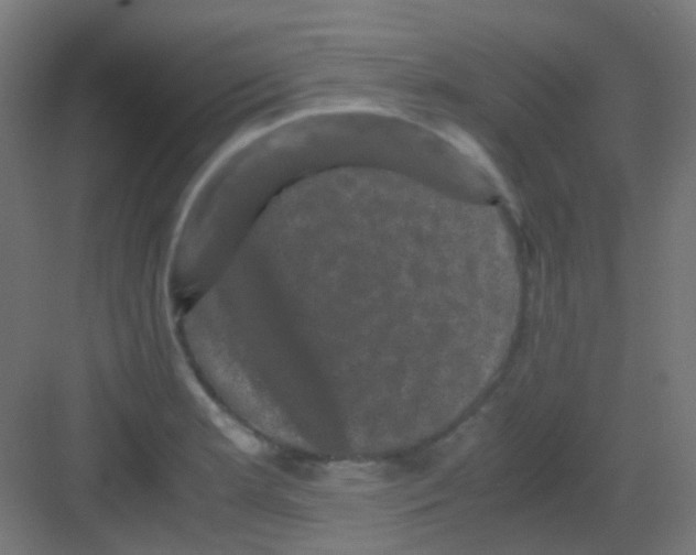 X0000081391181200702090030