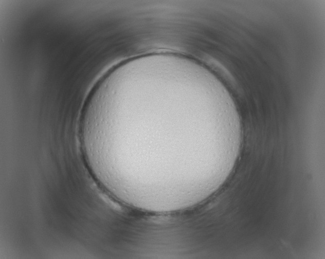 X0000081391182200702090030