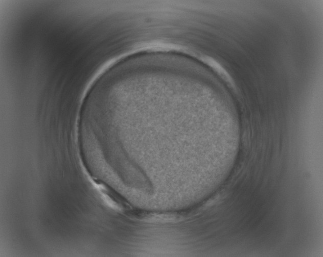 X0000081391183200702090030