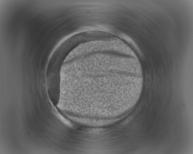 X0000081391184200702090030