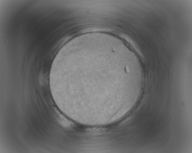 X0000081391185200702090030